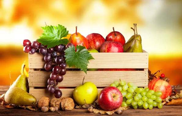 Картинка осень, яблоки, урожай, виноград, фрукты, орехи, ящик, груши