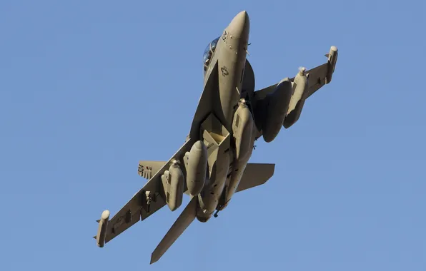 Картинка оружие, самолёт, THUNDER42 VAQ-135 Black Ravens F-18G