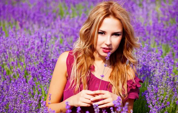 Картинка поле, фиолетовый, девушка, цветы, сиреневый, лаванда
