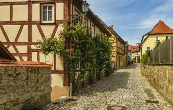 Цветы, улица, дома, Германия, переулок, мостовая, фанари, Bavaria