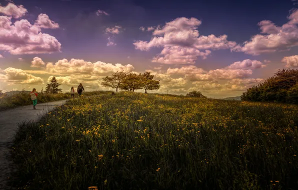 Картинка небо, трава, Природа