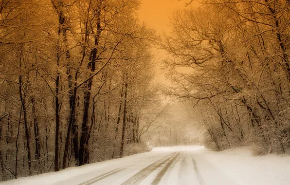 Картинка зима, дорога, лес