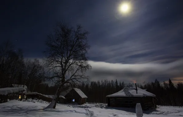 Зима, лес, небо, звезды, облака, снег, деревья, пейзаж