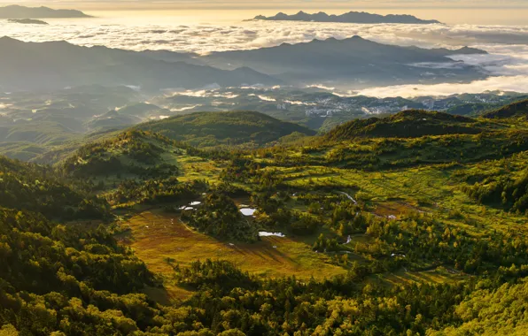 Картинка зелень, облака, деревья, горы, туман, рассвет, утро, Швейцария