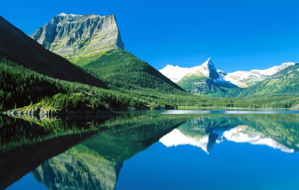 Картинка лес, горы, озеро, Монтана, США, национальный парк