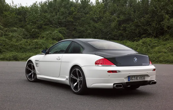 Bmw, Series6, Schnitzer