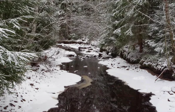 Картинка зима, лес, снег, речка, Финляндия, Finland, Southern Ostrobothnia, Makelanloukko