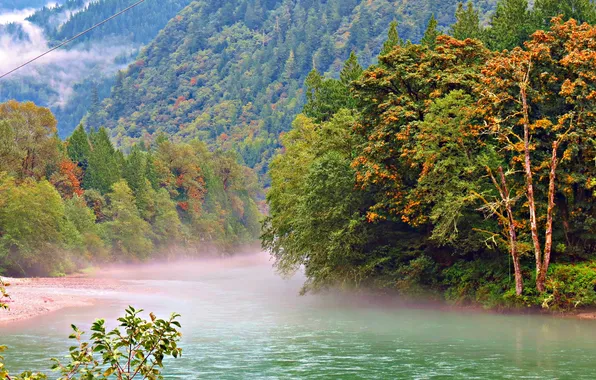 Лес, горы, туман, река, национальный парк, штат Вашингтон