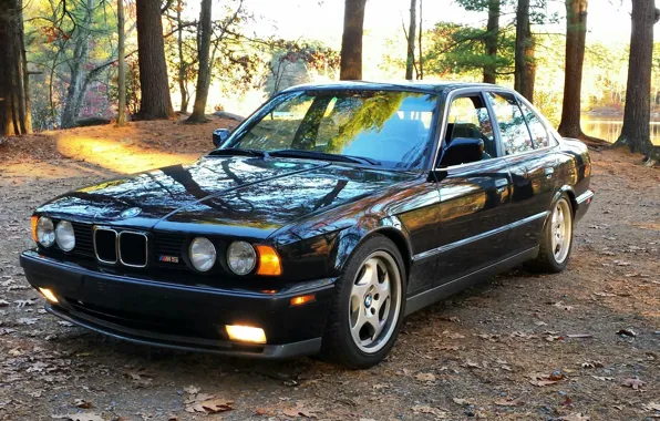 Природа, bmw, бмв, классика, e34