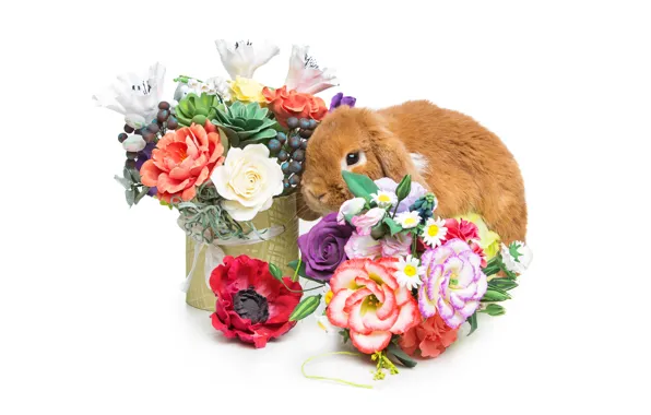 Цветы, корзина, кролик, Пасха, happy, rabbit, flowers, spring