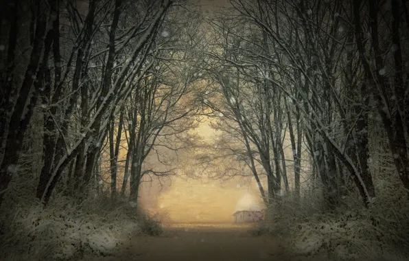 Картинка зима, лес, избушка, forest, winter, hut, Adela Lia Rusu