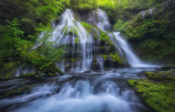Река, водопад, мох, каскад, Columbia River Gorge, Panther Creek Falls, Gifford Pinchot National Forest, Washington …