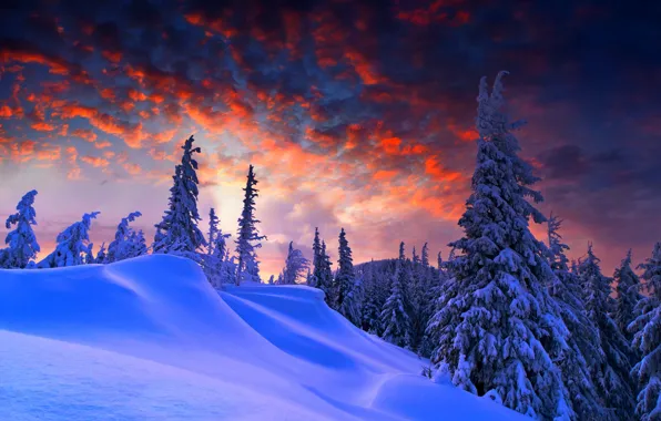 Картинка зима, небо, облака, снег, пейзаж, природа, гора, white