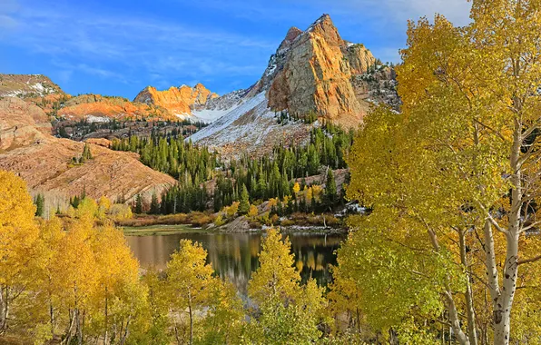Картинка осень, снег, деревья, горы, природа, озеро, Юта, США