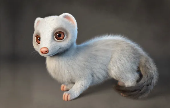 Арт, хорёк, Gabriela Salmeron, Ferret