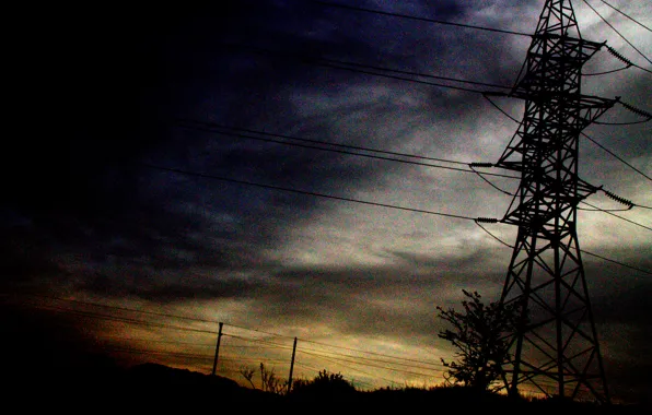 Tower, nature, photo