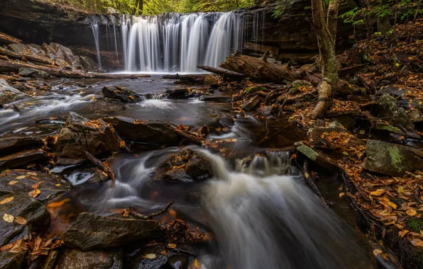 Осень, ручей, камни, водопад, речка, Пенсильвания, Pennsylvania, Ricketts Glen State Park