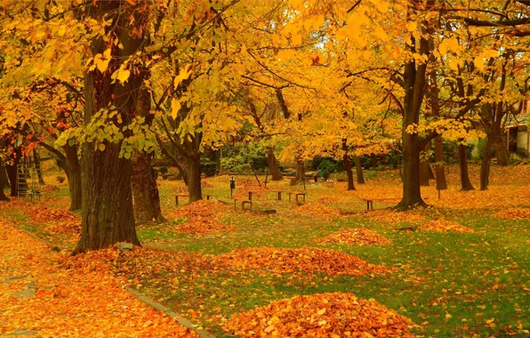 Картинка Осень, Деревья, Парк, Fall, Листва, Park, Autumn, Trees