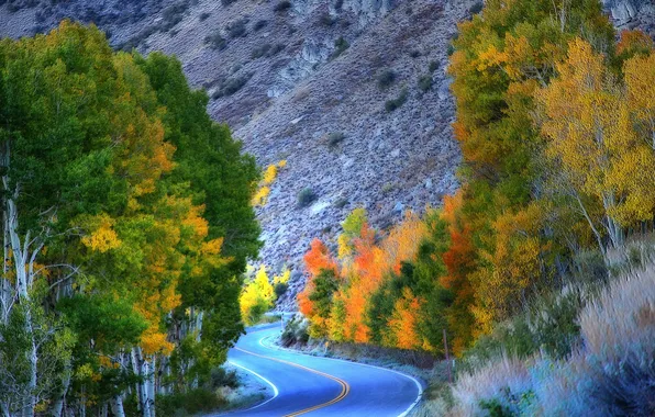 Дорога, осень, деревья, горы, Калифорния, США, Eastern Sierra