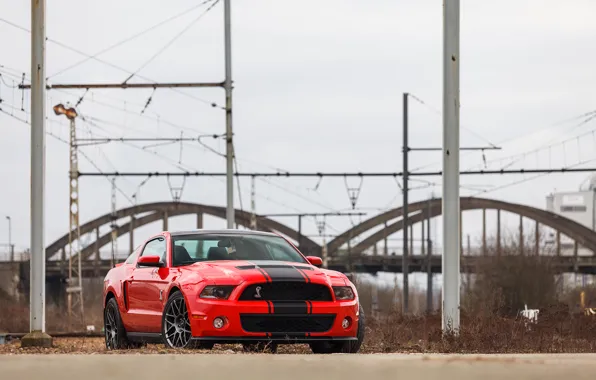 Mustang, Ford, Shelby, GT500, 2012, Race Red