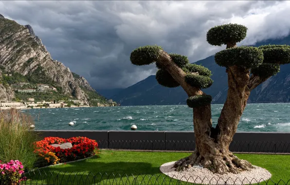 Море, пейзаж, горы, природа, дерево, вид, растение, красота