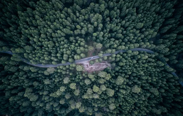 Дорога, машина, лес, вид сверху