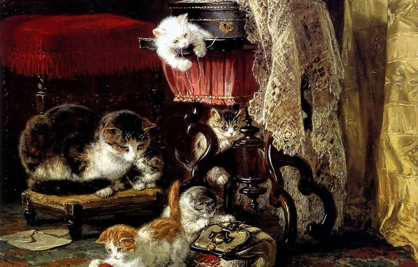 Кошки, коты, котята