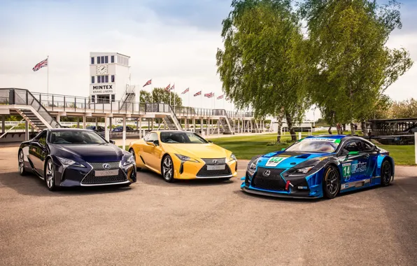 Авто, деревья, мост, тень, Lexus, GT3, RC F