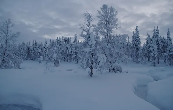 Картинка зима, лес, снег, деревья, ручей, сугробы, Финляндия, Finland