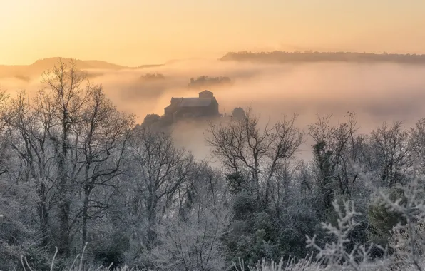 Картинка зима, природа, туман, утро