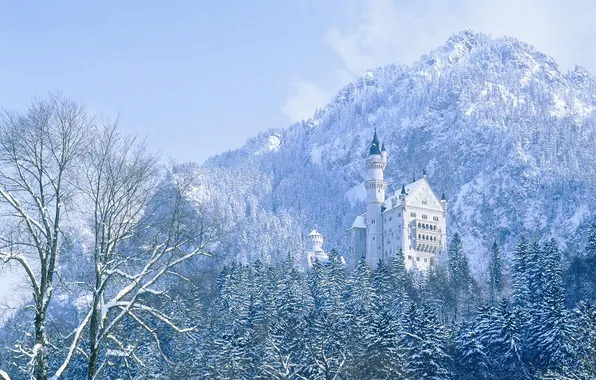 Картинка зима, деревья, горы, замок