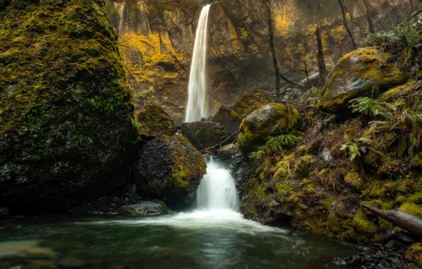 Лес, скала, камни, водопад, мох, Elowa Falls