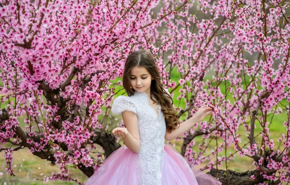 Деревья, весна, сакура, платье, девочка, girl, цветение, pink