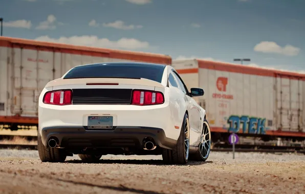 Mustang, мустанг, тачки, ford, форд, cars, auto wallpapers, авто обои