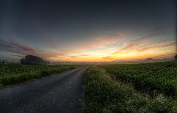 Дорога, зелень, colors, hdr, road, field, landscape, blue