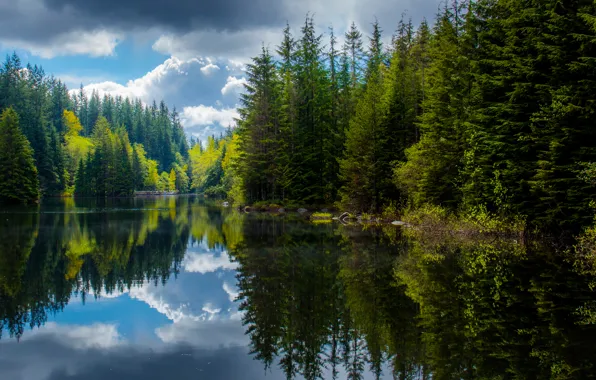 Картинка лес, отражения, озеро, весна, Канада, Британская Колумбия