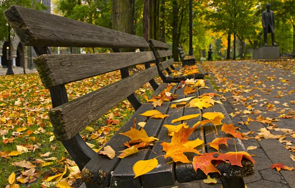 Картинка осень, парк, листва