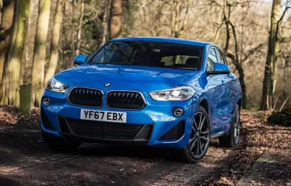 Вид спереди, 2018, кроссовер, M Sport, BMW X2, xDrive20d