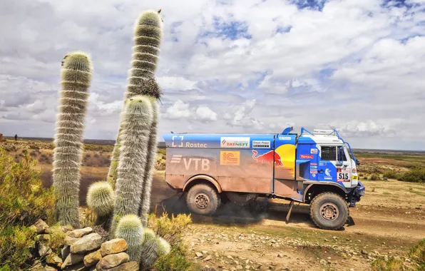 Спорт, Скорость, Грузовик, Гонка, Мастер, Россия, Kamaz, Rally