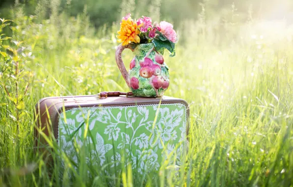 Лето, трава, цветы, природа, чемодан, кувшин