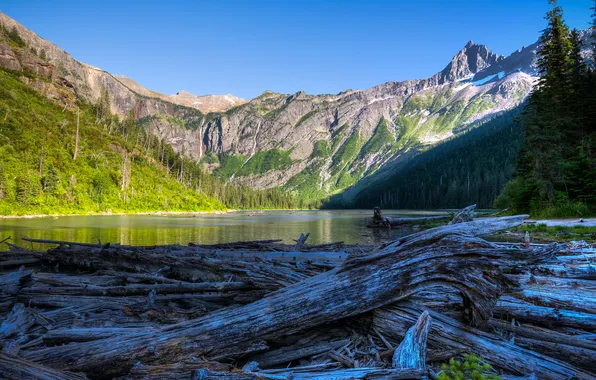 Лес, небо, деревья, горы, озеро, сша, glacier national park, montana