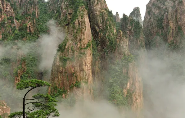 Горы, туман, дерево, растительность, Китай