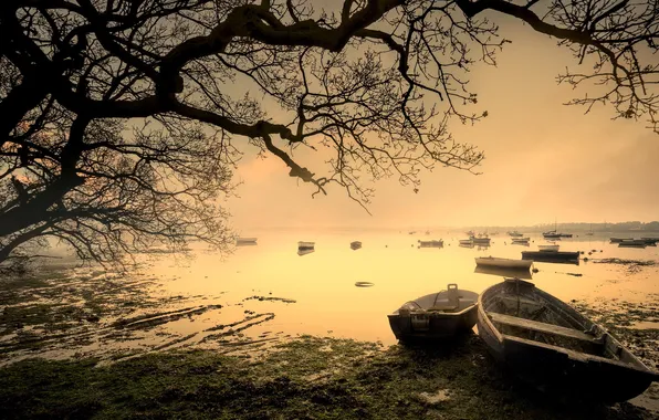 Картинка туман, озеро, лодки, утро