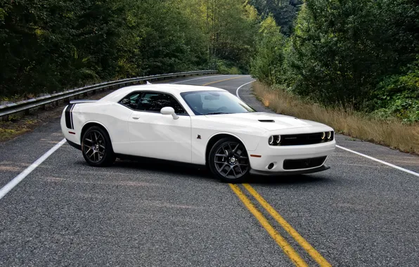 Dodge, Challenger, white, road