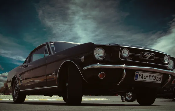 Car, mustang, ford, classic, fastback
