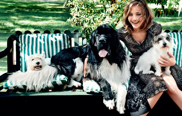 Картинка смех, собачки, Jennifer Lawrence, Vogue