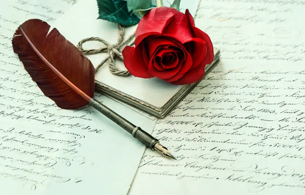 Письмо, перо, роза, red, rose, flower, letter