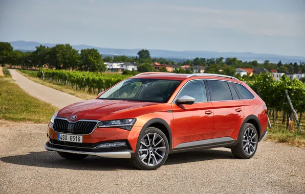 Дорога, car, машина, оранжевая, колёса, пригород, универсал, Skoda