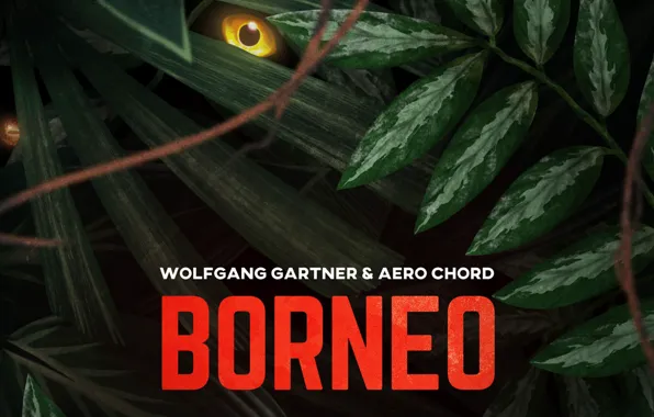 Music, Borneo, Cover, Monstercat, Wolfgang Gartner & Aero Chord