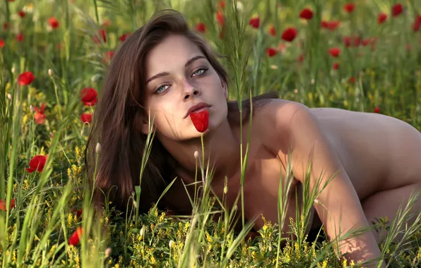Поле, трава, взгляд, девушка, цветы, голая, тело, мак